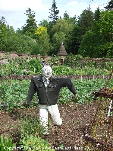 Knightshayes (64)